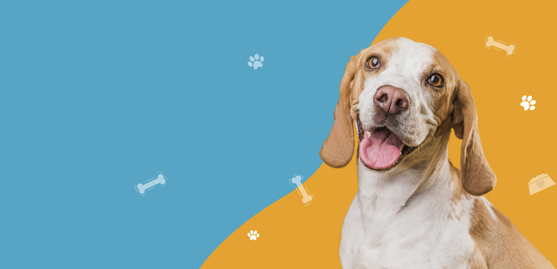 slider image 1621243260e1af0c20-0